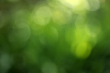 Bokeh efektli yeşil bulanık arkaplan