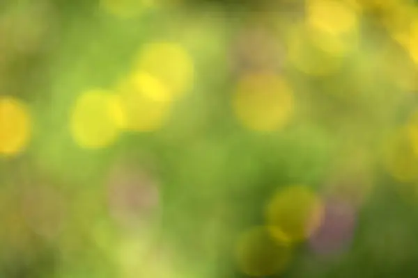 Bokeh 'in yeşil soyut arkaplanı