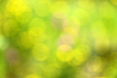 bokeh ile yeşil arka plan