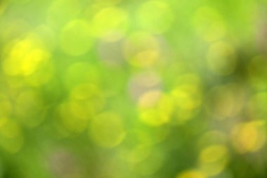 Odaklanamayan yeşil bulanık arkaplan