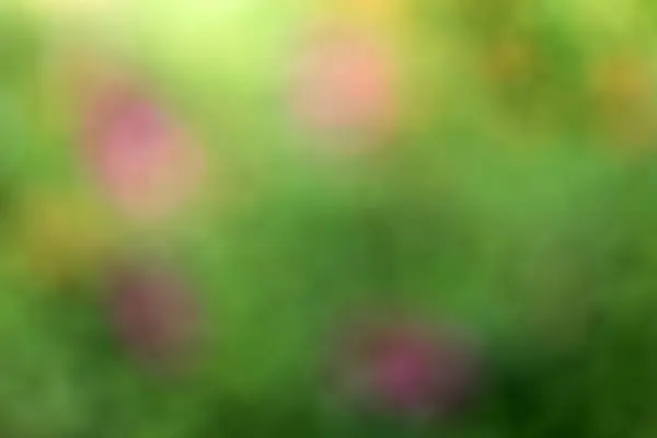 Bokeh ile bulanık arkaplan