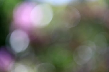 Bokeh ışıkları ile odaklanmış soyut arkaplan