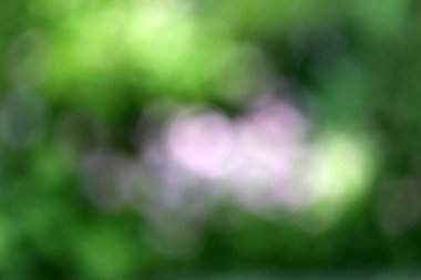 Bokeh odaklı yeşil arkaplan