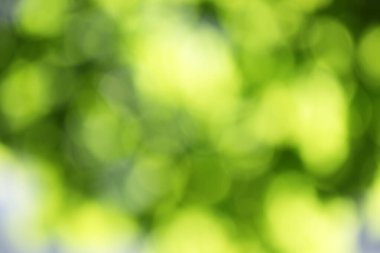 yeşil bokeh soyut arkaplan