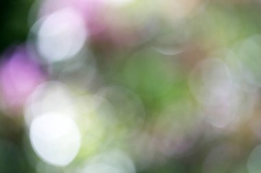 Bahçedeki doğal renk ışıklarının bulanık arka planı, bahar arkaplanı.