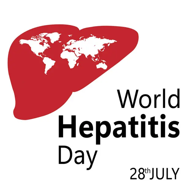 Beyaz arka planda karaciğer, Dünya Hepatit Günü. Beyaz bir arkaplanda resim