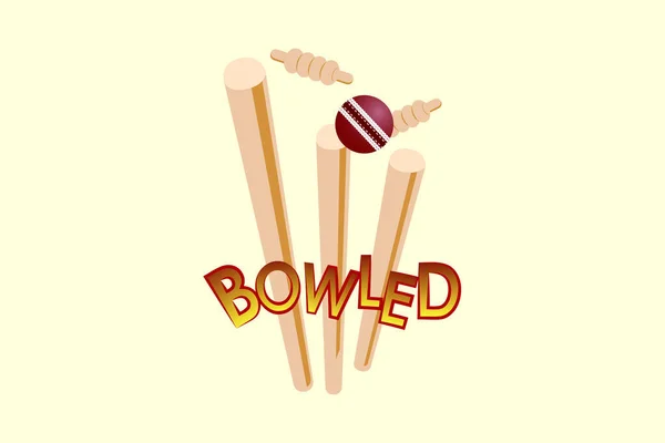 Cricket Bowled Stumps vektör sanatı