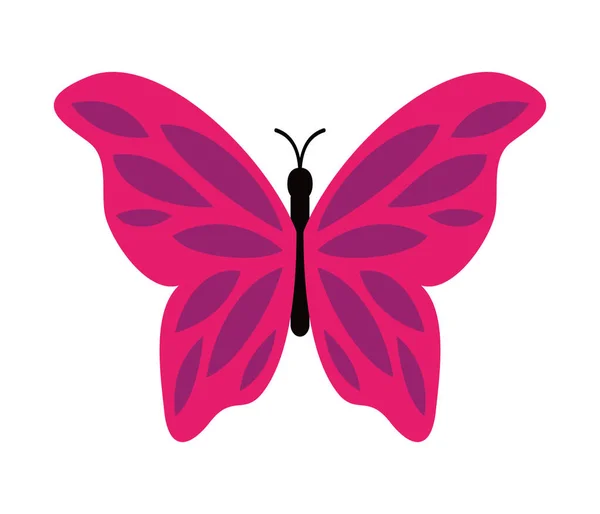 Desain Grafis Vektor Butterfly - Stok Vektor