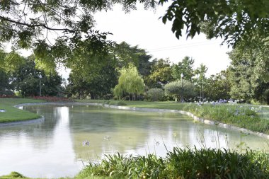 Parkın güzel manzarası 