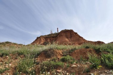 Bitki örtülü renkler dağı