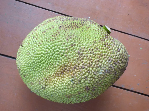 Jackfruit Native Indonesia — стоковое фото