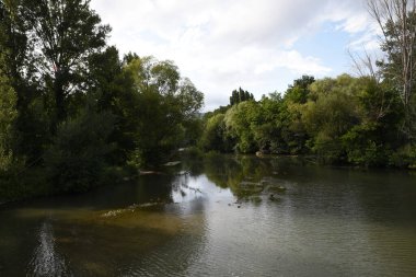 Yeşil ağaçların ortasındaki nehir manzarası