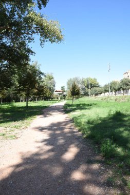 Ağaçların gölgesinde yeşil ağaçlar ve çimenler olan doğal park, Alcaniz.