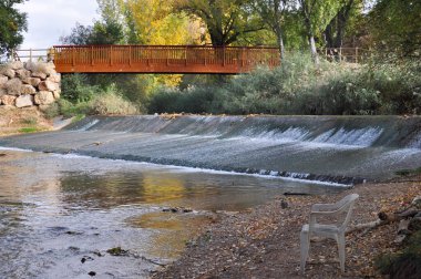 bir orman içinde ahşap köprü