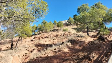 Tepesinde ağaçlar olan toprak bir yol.