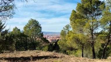 Ağaçların arasından bir şehir manzarası