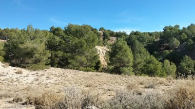 Arkasında birkaç ağaç ve tepe olan bir dağ.