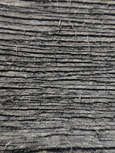 Arkaplan için ahşap dokunun makro fotoğrafı