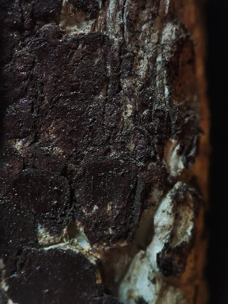 Ürünün makro fotoğrafı