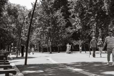 Breda, Hollanda - 06 16 2023: Breda şehrinin sokak manzarası