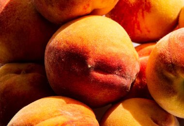 Büyük kırmızı ve sarı şeftaliler güneş ışığıyla aydınlatılıyor.