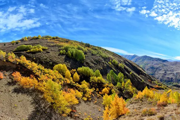 Sonbahar, 4k duvar kağıdı 1920x1080, Duvar kağıdı resim