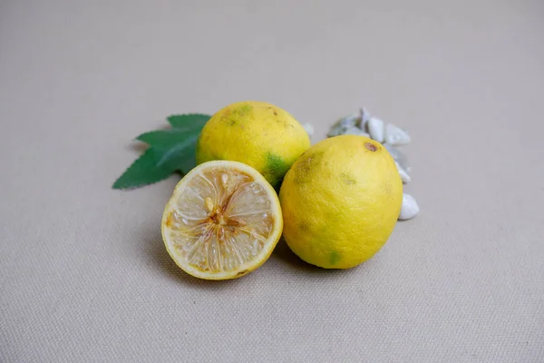 Belo Limão Amarelo Fatiado Sobre Fundo Branco — Fotografia de Stock