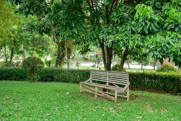 stock image Wooden bench in the park, green grass and tree. Nature background