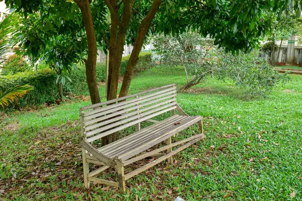 Parktaki ahşap bankta yeşil çimenler ve ağaç zeminli.