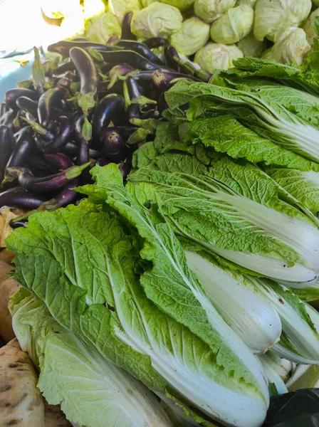 Gemüse Zum Verkauf Einem Marktstand Nahaufnahme Foto Von Chinakohl Und — Stockfoto