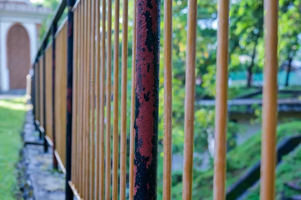 Parkta yeşil çimen ve ağaç zeminli sarı metal çitler var. Seçili odak