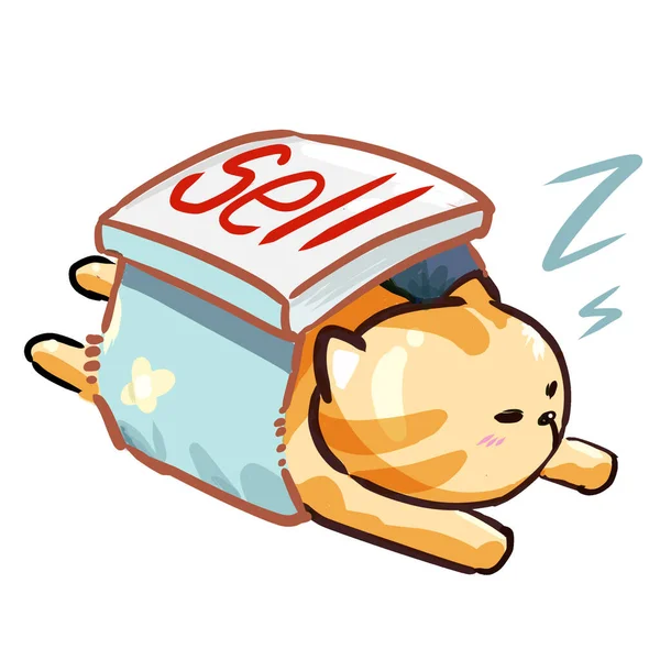 Gato Dormindo Caixa — Fotografia de Stock