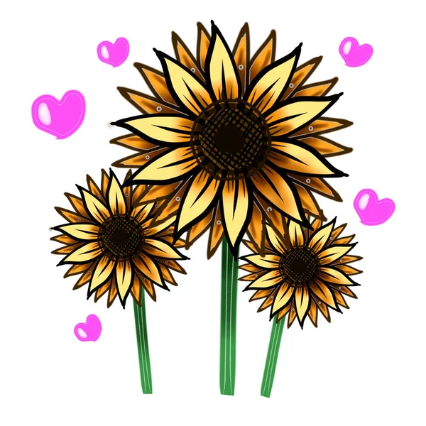 Sonnenblume Blume Gelb Sonne Herz — Stockfoto