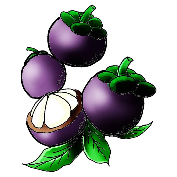 Fruta Mangostán Púrpura Muchas Bolas Hermosas Hojas Verdes Apetitoso Patrón — Foto de Stock