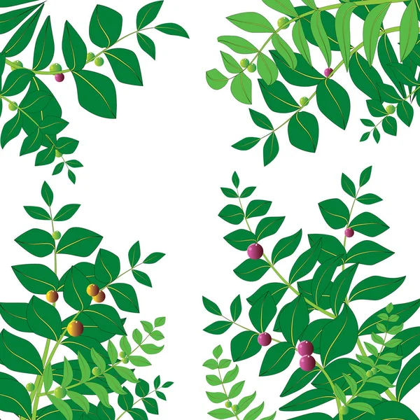 Ağaç Yeşili Çiçek Rengi Duvar Kağıtları — Stok fotoğraf