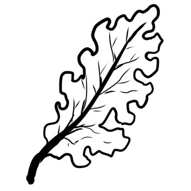 Çiçek el çizimi ağaç bahçesi eğrelti otu ikonu bitkisel yapraklar