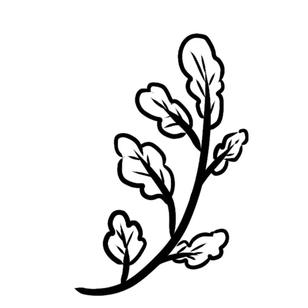 花手绘树花园蕨类图标草本植物叶子 — 图库照片