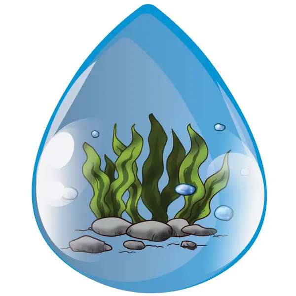 Bubble Animal Water Drop Set — Stock Photo, Image