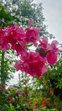 blue gear GREEN tree flower pink
