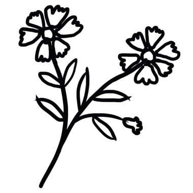 Dekoratif tasarım farklı çizilmiş eko zarafet