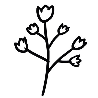 Dekoratif tasarım farklı çizilmiş eko zarafet