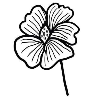 Dekoratif tasarım farklı çizilmiş eko zarafet