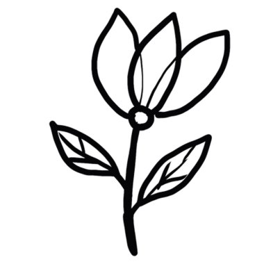 Dekoratif tasarım farklı çizilmiş eko zarafet