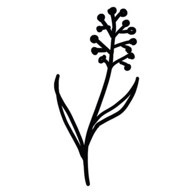 Dekoratif tasarım farklı çizilmiş eko zarafet