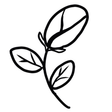 Dekoratif tasarım farklı çizilmiş eko zarafet