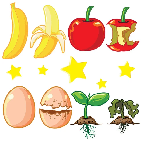 Banana Egg Apple Tree Seed Broken Dead Fruit Color Star — Stock Photo, Image