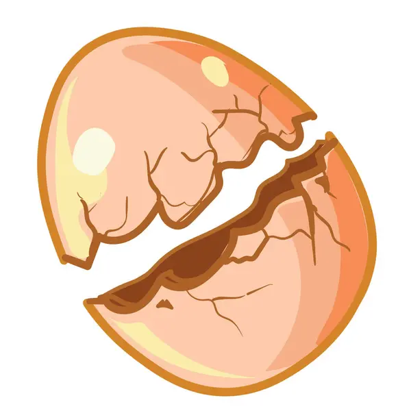 Huevo Comida Arte Roto Círculo Animal Huevo —  Fotos de Stock