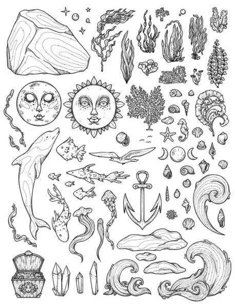 装飾水中イラストのセット ボホとヴィンテージコレクション 線画海と海の要素 手描きのファンタジー海洋生物 白い背景に孤立した要素 ゴブリンコア — ストック写真