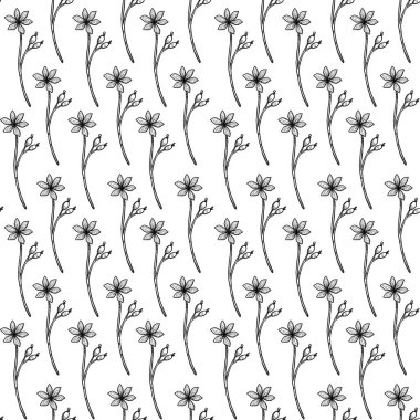 Çiçeksiz desenler. El yapımı dekoratif çizgiler doğal elementler. Boho ve vintage koleksiyonu. Şamanik ve putperest titreşimler. Beyazda izole edilmiş.