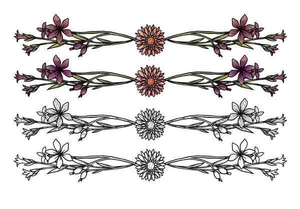 Molduras Flores Boho Conjunto Arte Colorido Desenhado Mão Linha Ilustrações — Fotografia de Stock